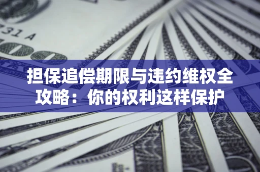 济南担保追偿期限与违约维权全攻略：你的权利这样保护